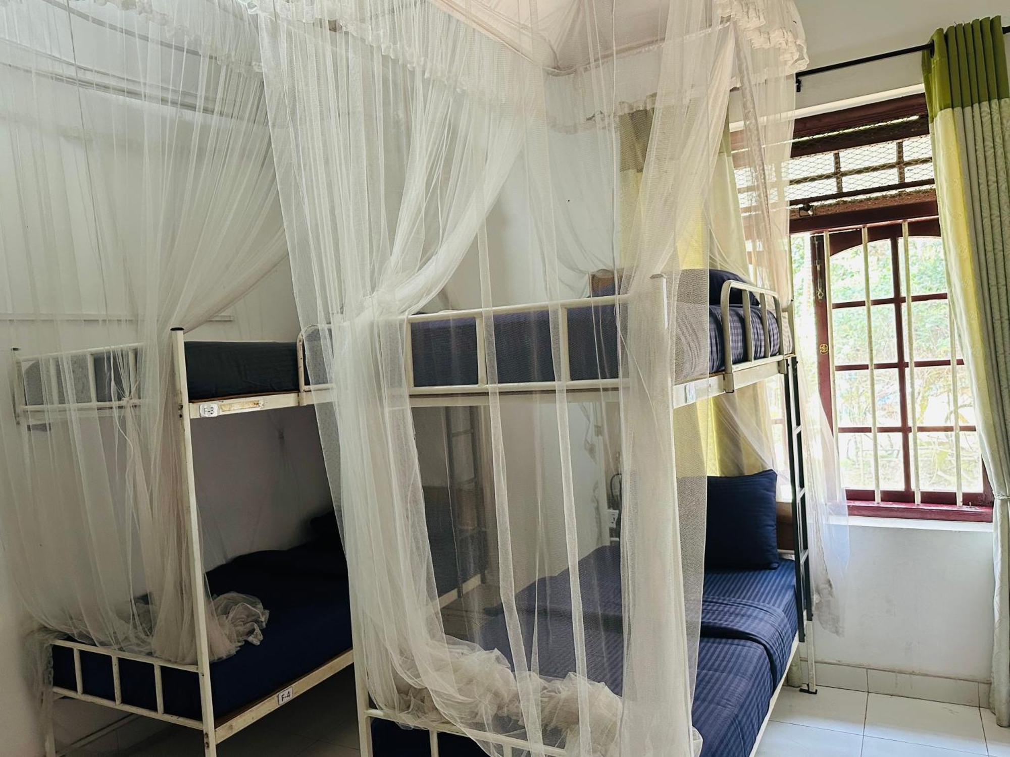 Rock View Hostel אלה מראה חיצוני תמונה