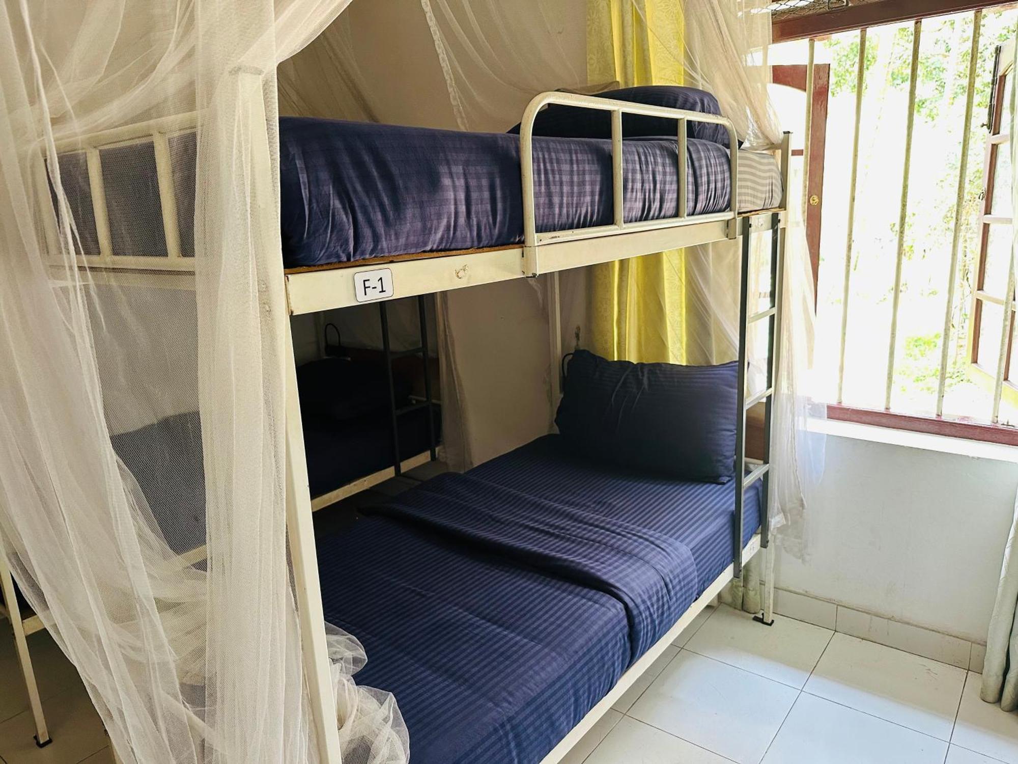 Rock View Hostel אלה מראה חיצוני תמונה
